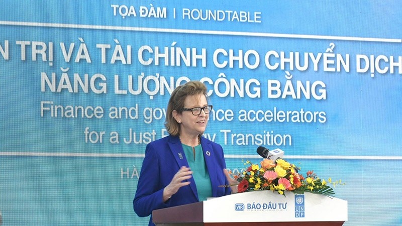 联合国开发计划署驻越南代表处首席代表凯特林•维森发表讲话。