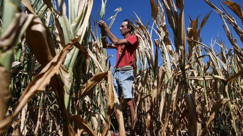 干旱对意大利农业部门造成了严重破坏。（图片来源：GETTY）