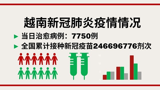 8月3日越南新增新冠确诊病例2096例【图表新闻】