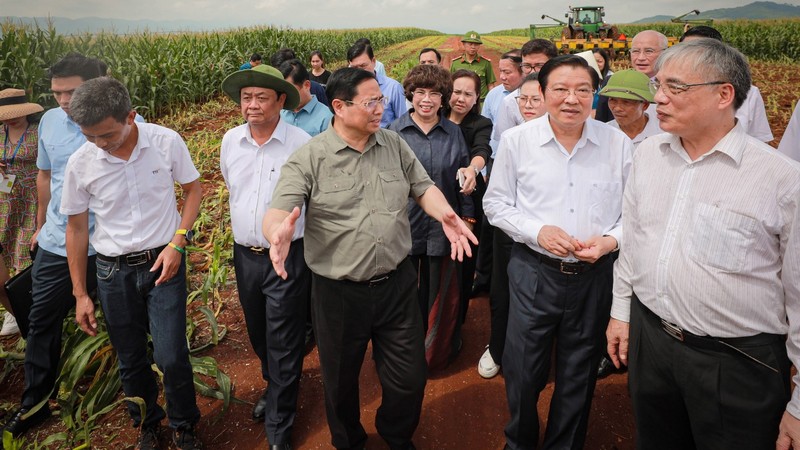越南政府总理范明正视察TH集团在义安省义坛县府葵乡开展的项目。