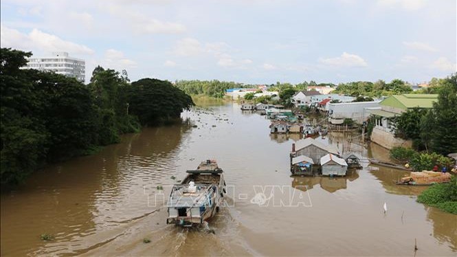 40名越南公民从柬埔寨干丹省高·托姆县桑普庞乡Chrey Thum村的一个赌场逃出游过安江省平怡河回国。（图片来源：越通社）
