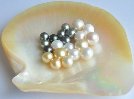富国岛珍珠。 (Photo: 附图)