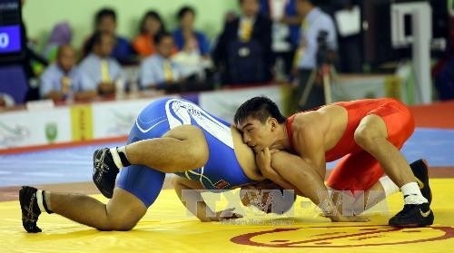 越南摔跤选手何文孝在第26届东运会上夺得男子120公斤级的金牌。  (Photo: 图片来源：越通社)