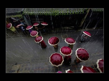 《雨里》，摄影师：梅诚章（广南省）-金牌