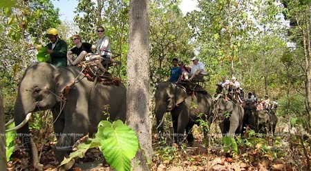 游客非常喜欢骑大象参观班敦。（图片来源：越南画报）
