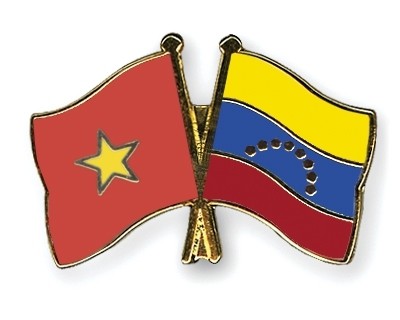 越南与委内瑞拉建交25周年纪念典礼在委内瑞拉举行