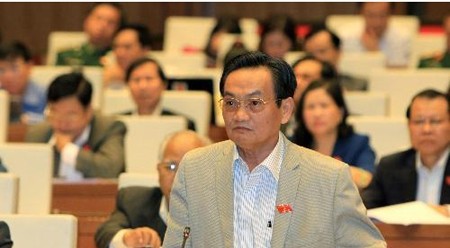 胡志明市国会代表陈旅游发表意见。