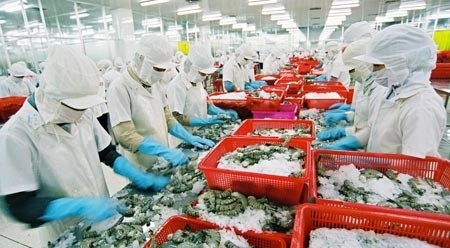 越南对美国虾类出口呈良好增长态势。