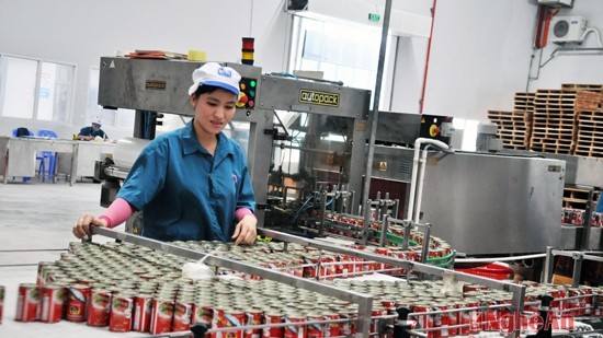 附图：义安省工人展开生产活动。