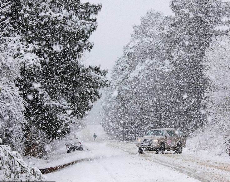 南非遭遇15年来最大降雪天气