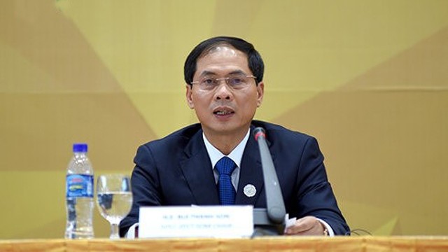 越南外交部常务副部长裴青山发表讲话。（图片来源：VOV）