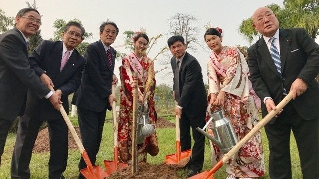 各位代表在和平公园种植樱花树。