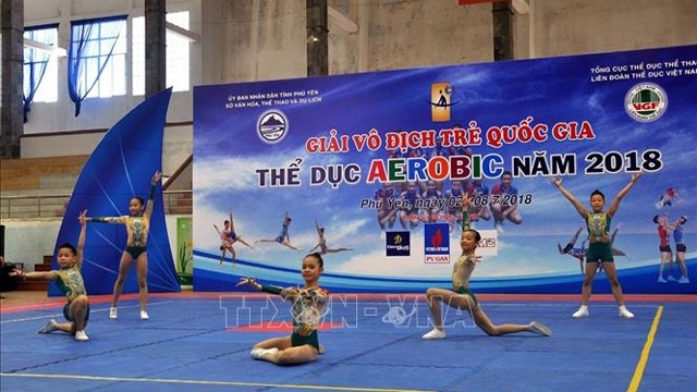 2018年越南国家青年健美操锦标赛在富安省举行。（图片来源：越通社）
