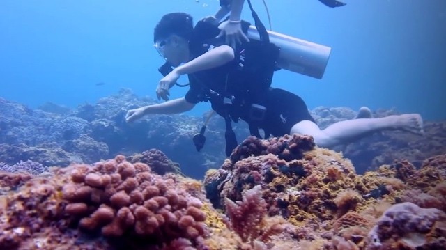 潜水探索水下拱门马上成为游客们的新鲜体验。