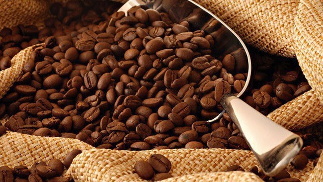 2018年前11月越南咖啡出口量达173万吨 创汇33亿美元