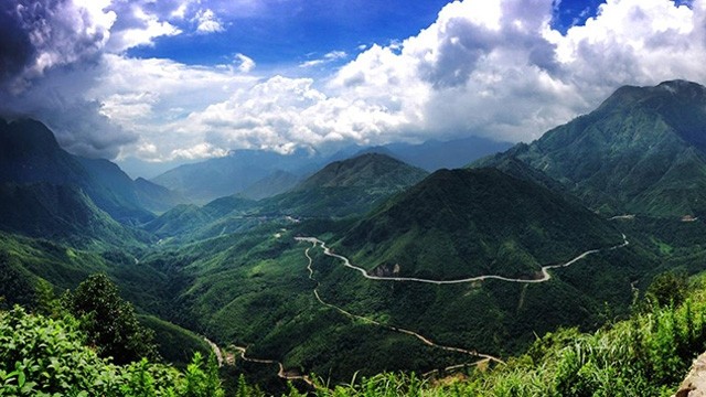 越南黄连国家森林公园一角。