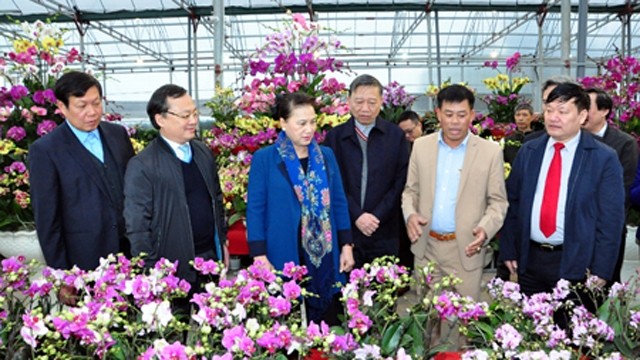 越南国会主席阮氏金银参观春关乡的春节花卉盆景集散地。（图片来源：兴安省报）