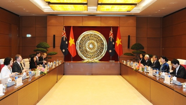 越南国会主席阮氏金银与澳大利亚参议院议长举行会谈。（图片来源：陈海 摄）