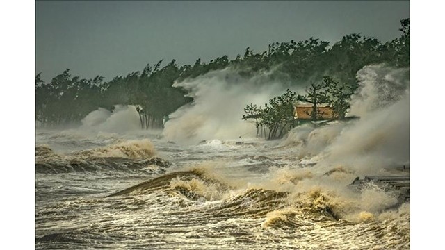 越南作品《台风中的房屋》。
