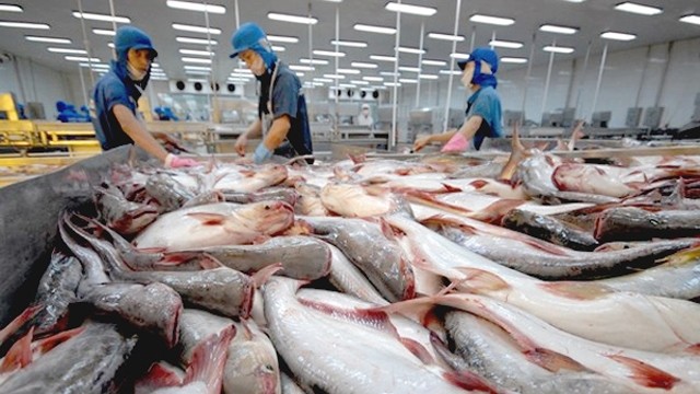附图：越南查鱼出口。