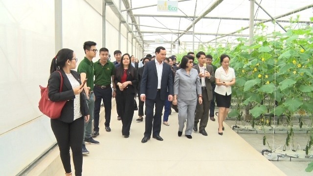 柬埔寨国会第二副主席宫桑达里一行参观河南省VinEco高科技农业生产区。