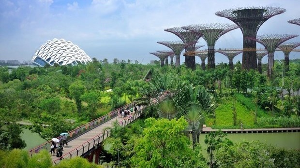 新加坡滨海湾花园。（图片来源： Eco-Business.com）
