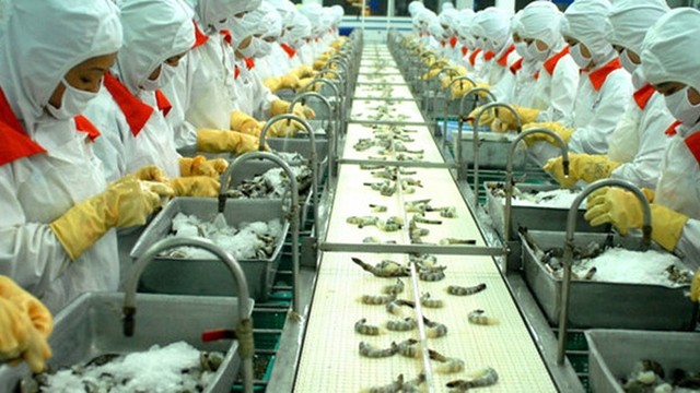越南努力实现虾类出口额达42亿美元的目标。（图片来源：VOH）