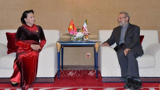 越南国会主席阮氏金银会见伊朗议会议长。（图片来源：越通社）
