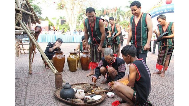 越南莫侬格人独特的新炊祭祀仪式。
