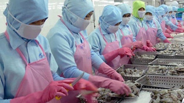 附图：欧盟仍是越南最大的虾类进口市场。