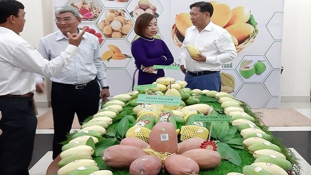 安江省首批芒果出口到美国市场公布仪式。