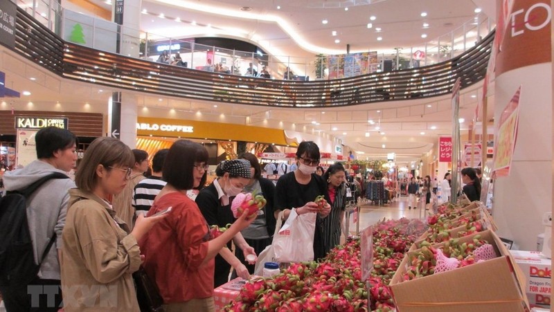 日本消费者选购越南火龙果。（图片来源：越通社）