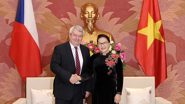 越南国会主席阮氏金银会见捷克众议院副议长沃伊杰赫•菲利普。（登科 摄）