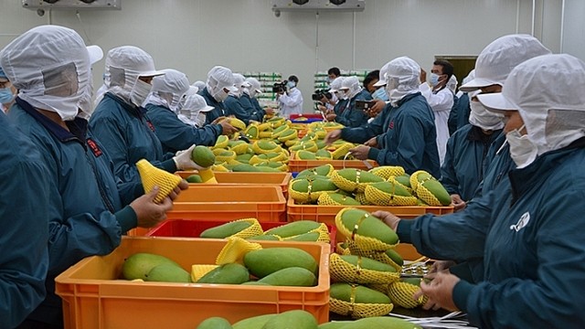 附图：农产品是越南对欧盟出口的主要产品。