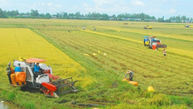 附图：安江省促进稻米销售合作和连接。