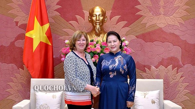 越南国会主席阮氏金银会见法越友好议员小组主席。（图片来源：越南国会官网）