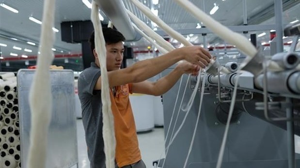 大叻羊毛纱线纺纱厂首次向日本出口天然羊毛纤维。（图片来源：越通社）