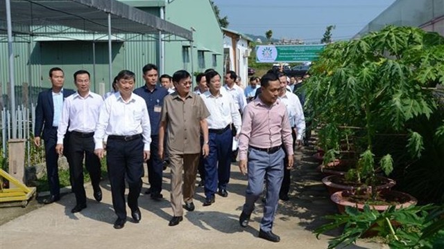 老挝政府总理通伦•西苏里一行造访岘港市Afarm 高科技蔬菜生产区。