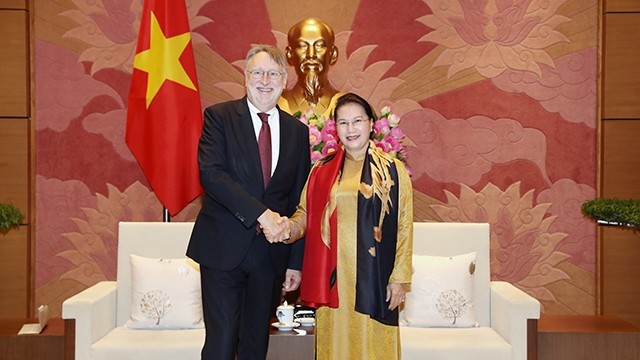 越南国会主席阮氏金银会见欧洲议会国际贸易委员会主席博纳德•朗耶。（维玲 摄）