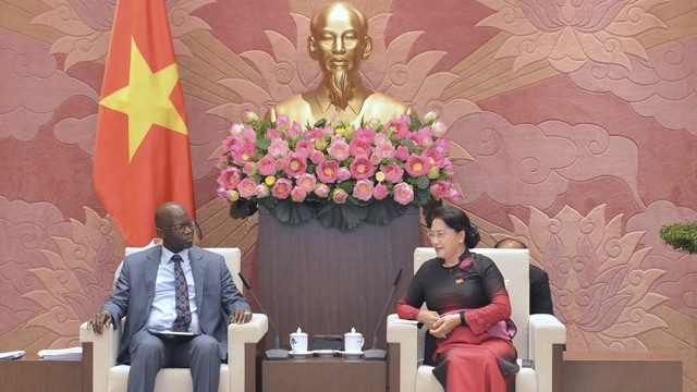 国会主席阮氏金银会见世行驻越首席代表奥斯曼•迪奥。（维灵 摄）