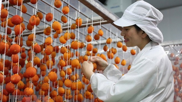 采用日本技术的柿饼生产厂正式投运。