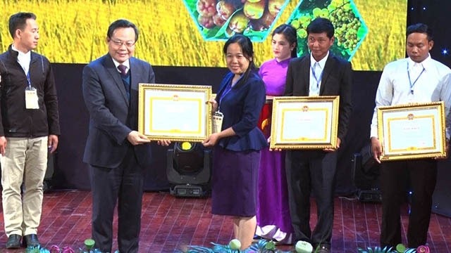 越南国会副主席冯国显向为此次活动作出贡献的集体、个人授予奖状。（图片来源：人民报网）