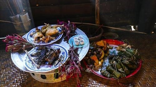 奠边省贡族人过鸡冠花节时使用鸡冠花来装饰祭品。（图片来源：越通社）