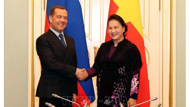 越南国会主席阮氏金银会见俄罗斯总理梅德韦杰夫。（图片来源：越通社）