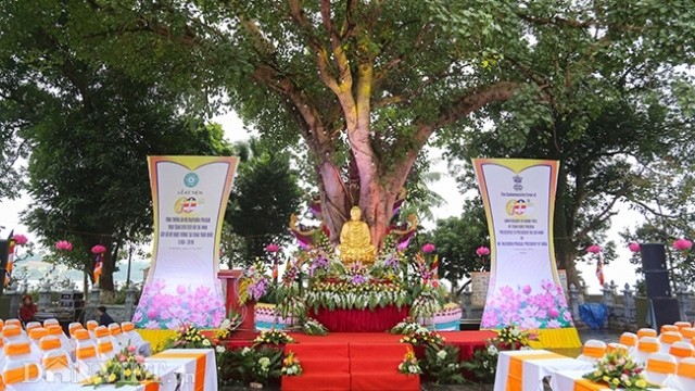 印度总统送给胡志明主席的菩提树。（图片来源：CPV）