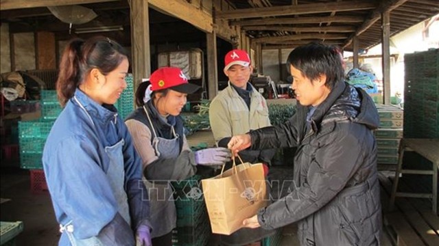 潘进黄先生走访慰问在日本茨城县从事农业领域的越南实习生。（图片来源：越通社）