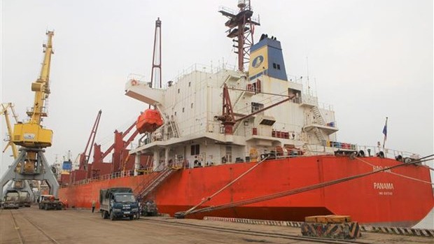 长189.9米的巴拿马籍BAOJIA号货船。（图片来源：越通社）