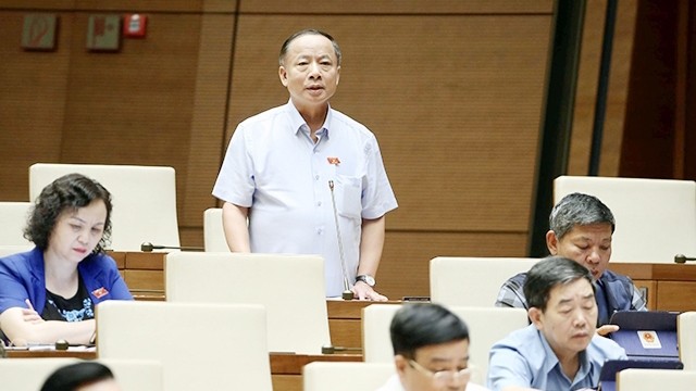 太平省国会代表发表意见。