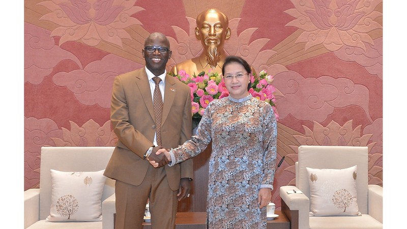 国会主席阮氏金银会见世行驻越首席代表奥斯曼·迪奥。
