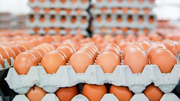 鸡蛋及蛋黄是欧盟承诺给予越南关税配额的14类商品之一。